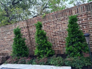 Кирпичный забор сплошной 12 метров фото в Княгинино